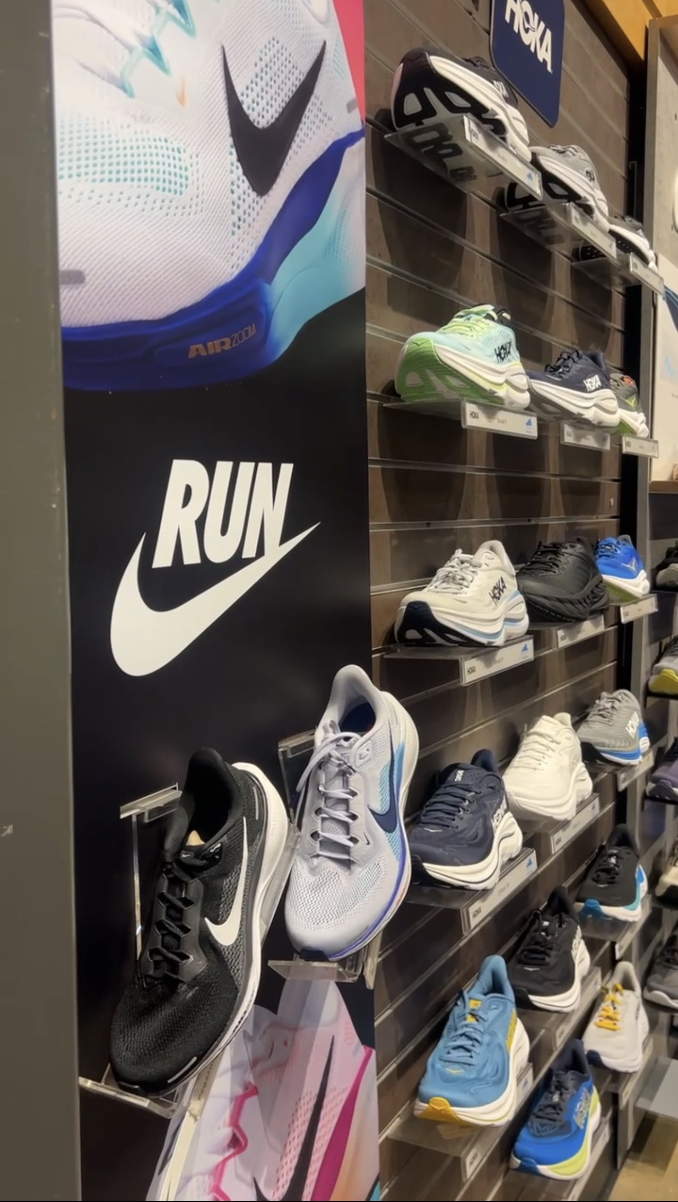 Fred Fitness gallery 6