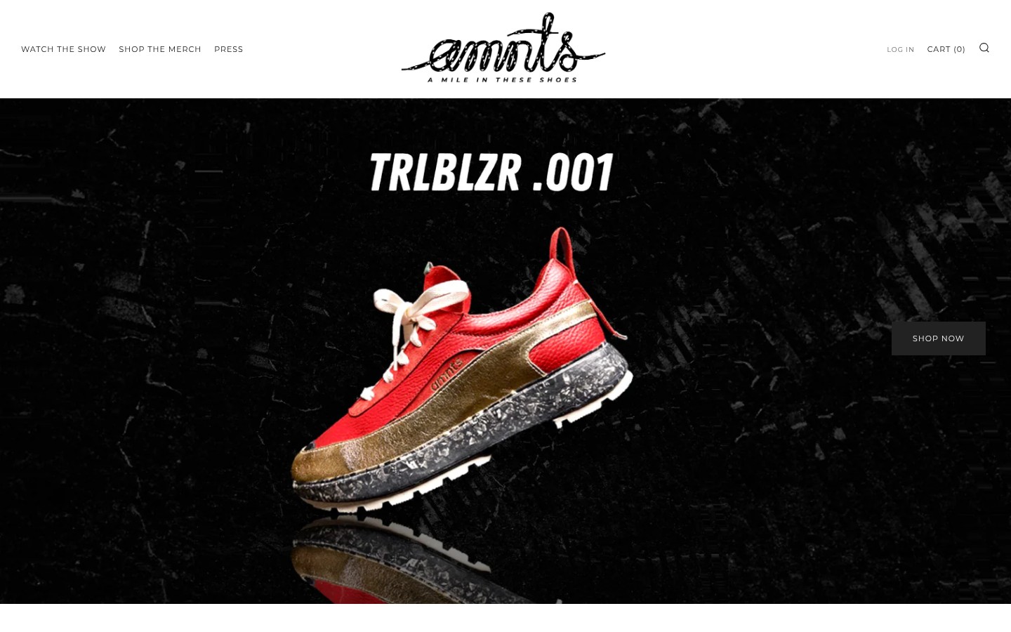 AMNTS Website
